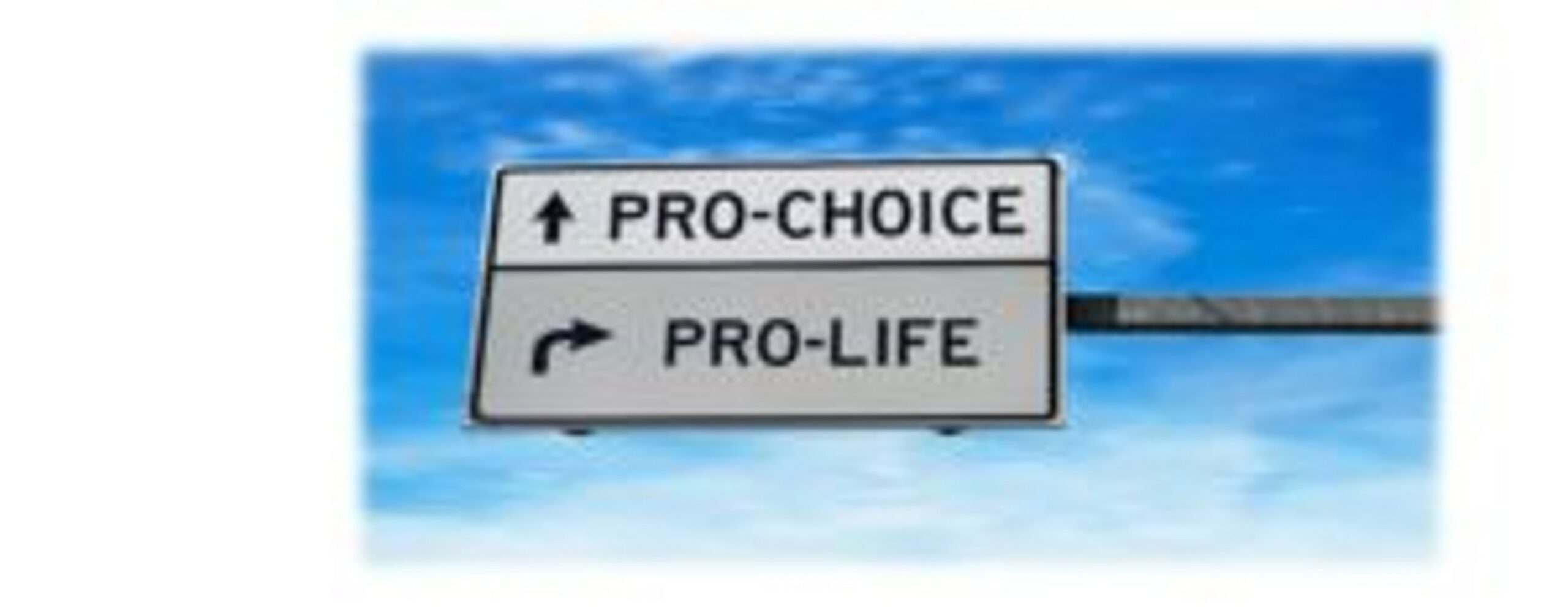The Human Life Review In Praise of Folly - The Human Life Review
