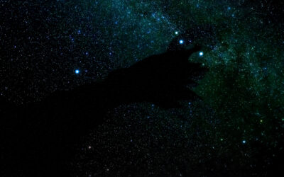 image adapted ID 99011054 © Jaysi | Dreamstime.com