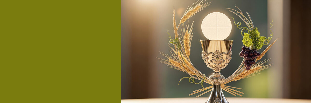 #nivo-caption0