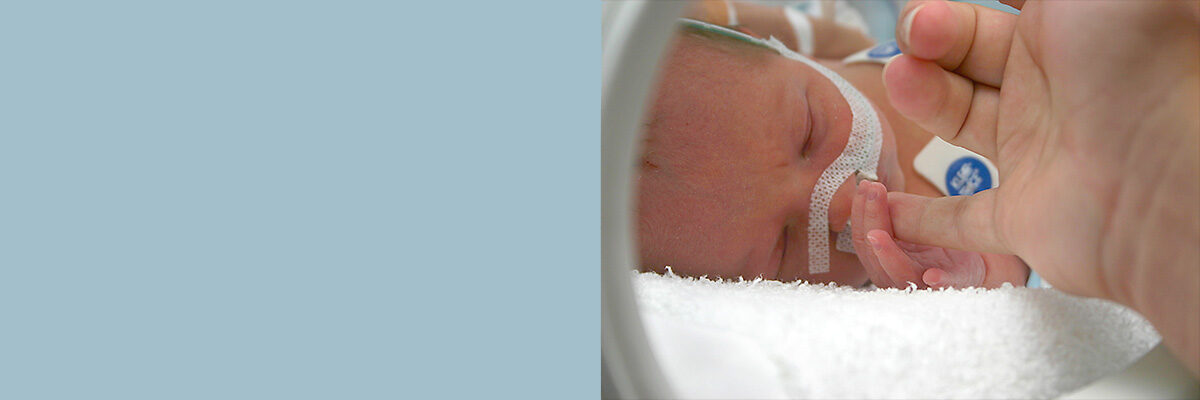 #nivo-caption0