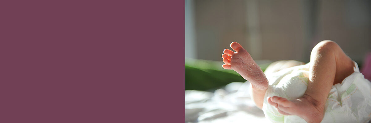 #nivo-caption0